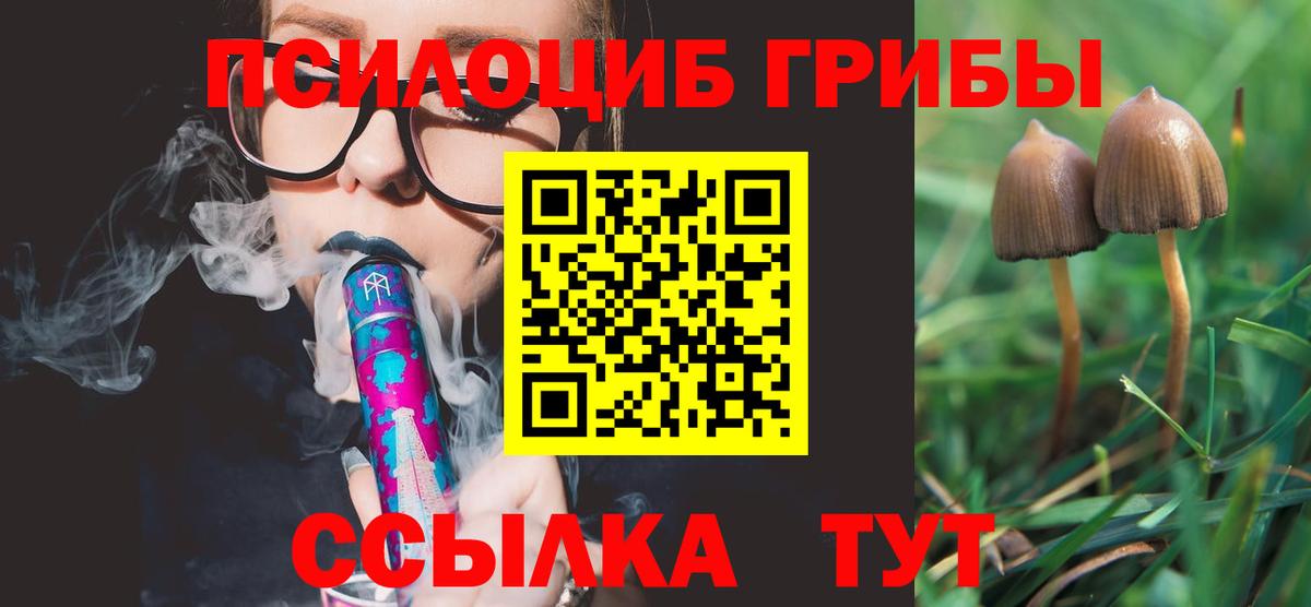 Тула  Псилоцибиновые грибы мухоморы  Вход с VPN  Галлюциногенные грибы Psilocybine cubensis 